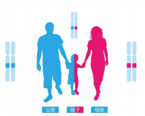 香港验血显示无法检测,怀孕多久可以测男女,验血两次结果不同是真的吗