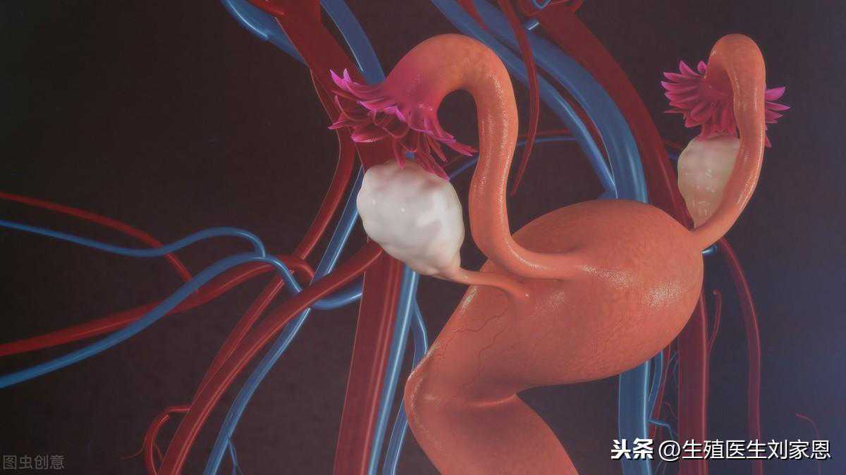 香港验血 合法,芜湖做试管婴儿的医院？输卵管重度积水还能去医院做