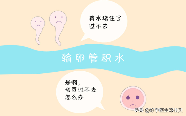 香港hklab验血多少钱,中药调理输卵管的原理是怎样的？正要开始备孕，应该怎么