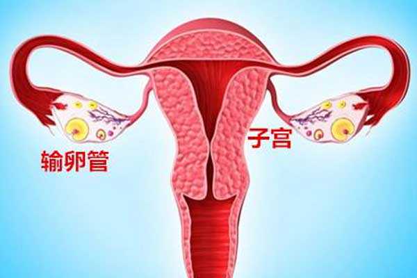 到香港验血要花多少钱啊,宫腔积液如何影响辅助生殖技术中助孕过程？